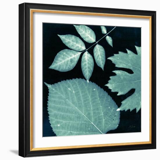 Teal Sunprint Leaves-Dan Zamudio-Framed Art Print