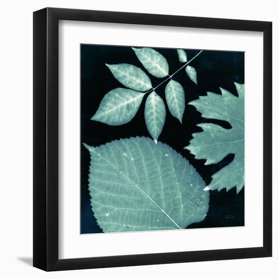 Teal Sunprint Leaves-Dan Zamudio-Framed Art Print