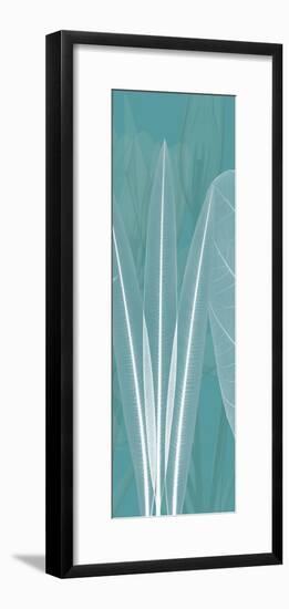 Teal Xray 1-Albert Koetsier-Framed Art Print