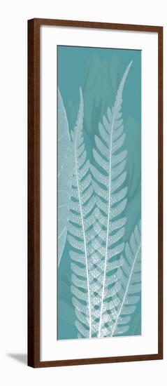 Teal Xray 2-Albert Koetsier-Framed Premium Giclee Print