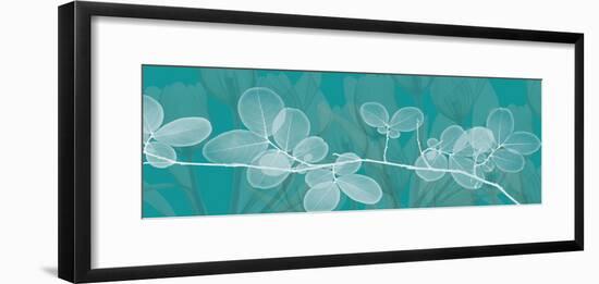 Teal Xray 4-Albert Koetsier-Framed Art Print