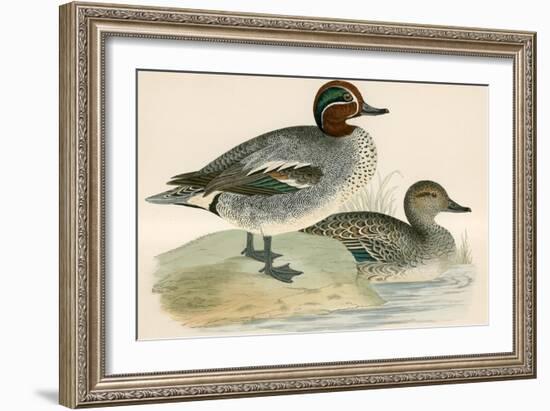 Teal-Beverley R. Morris-Framed Giclee Print