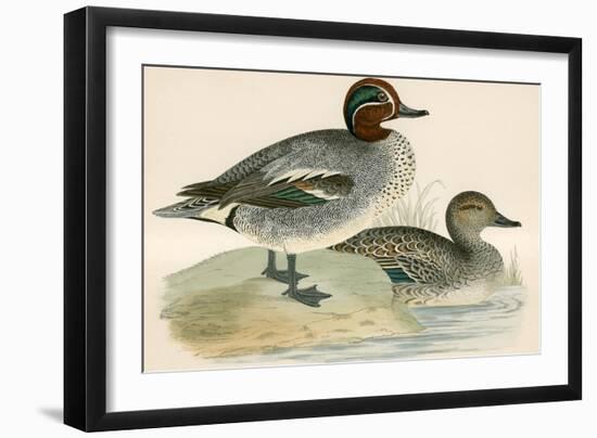 Teal-Beverley R. Morris-Framed Giclee Print