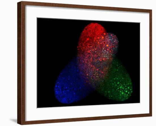 Teamwork-MusicDreamerArt-Framed Giclee Print