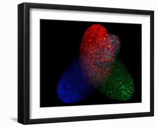 Teamwork-MusicDreamerArt-Framed Giclee Print