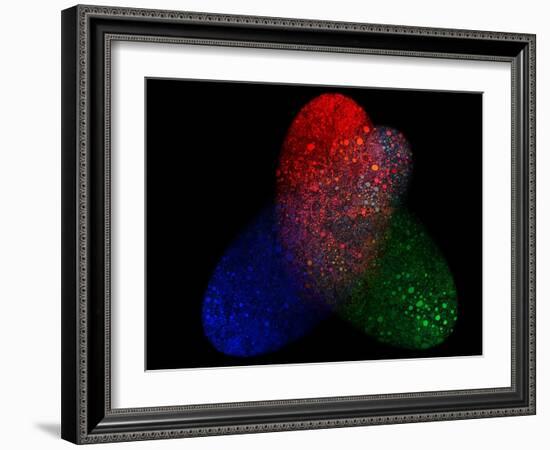 Teamwork-MusicDreamerArt-Framed Giclee Print