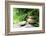 Teapot and Cups on Stone with Bamboo Leaves.-Liang Zhang-Framed Photographic Print