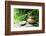 Teapot and Cups on Stone with Bamboo Leaves.-Liang Zhang-Framed Photographic Print