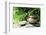 Teapot and Cups on Stone with Bamboo Leaves.-Liang Zhang-Framed Photographic Print