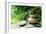 Teapot and Cups on Stone with Bamboo Leaves.-Liang Zhang-Framed Photographic Print