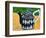 Teapot-Dale Hefer-Framed Photographic Print