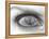 Tearful Encounter-Thomas Barbey-Framed Premier Image Canvas