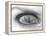 Tearful Encounter-Thomas Barbey-Framed Premier Image Canvas