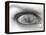 Tearful Encounter-Thomas Barbey-Framed Premier Image Canvas