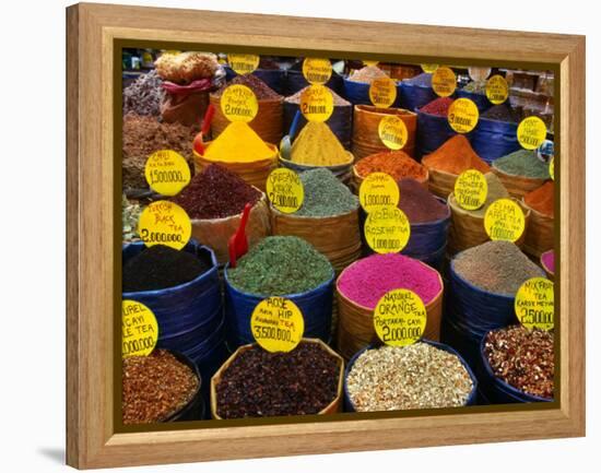 Teas and Spices at Spice Bazaar, Istanbul, Turkey-Greg Elms-Framed Premier Image Canvas