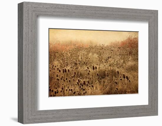 Teasel & Rosehips II-David Winston-Framed Giclee Print