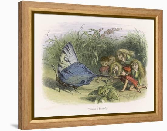 Teasing a Butterfly-Richard Doyle-Framed Stretched Canvas