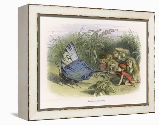 Teasing a Butterfly-Richard Doyle-Framed Stretched Canvas