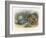 Teasing a Butterfly-Richard Doyle-Framed Art Print