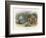 Teasing a Butterfly-Richard Doyle-Framed Art Print