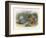 Teasing a Butterfly-Richard Doyle-Framed Art Print