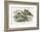 Teasing!-Richard Doyle-Framed Photographic Print