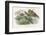 Teasing!-Richard Doyle-Framed Photographic Print