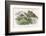 Teasing!-Richard Doyle-Framed Photographic Print