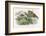 Teasing!-Richard Doyle-Framed Photographic Print