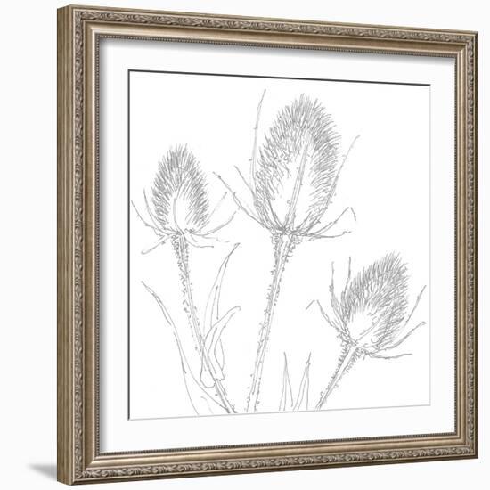 Teasles  2017  (Digital)-Sarah Hough-Framed Giclee Print