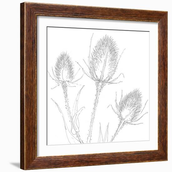 Teasles  2017  (Digital)-Sarah Hough-Framed Giclee Print