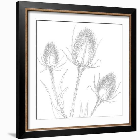 Teasles  2017  (Digital)-Sarah Hough-Framed Giclee Print