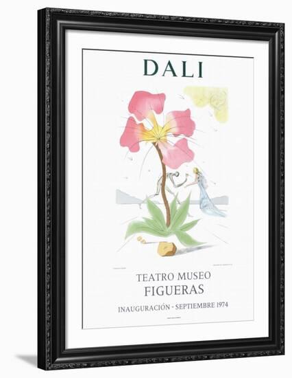 Teatro Museo Figueras 3-Salvador Dalí-Framed Collectable Print