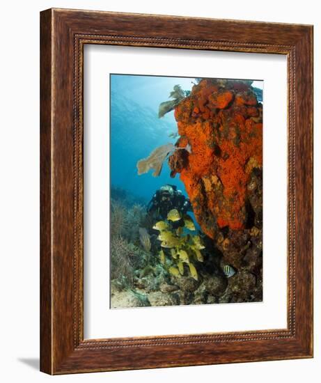 Technical Diver on Coral Reef.-Stephen Frink-Framed Photographic Print