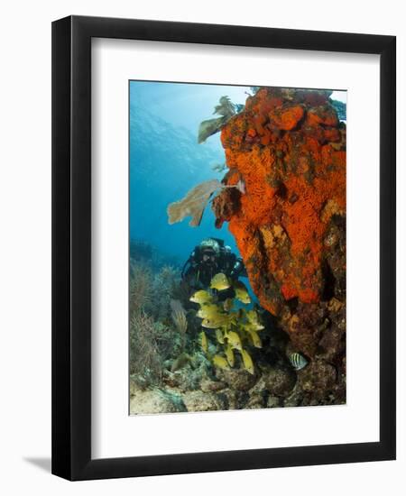 Technical Diver on Coral Reef.-Stephen Frink-Framed Photographic Print