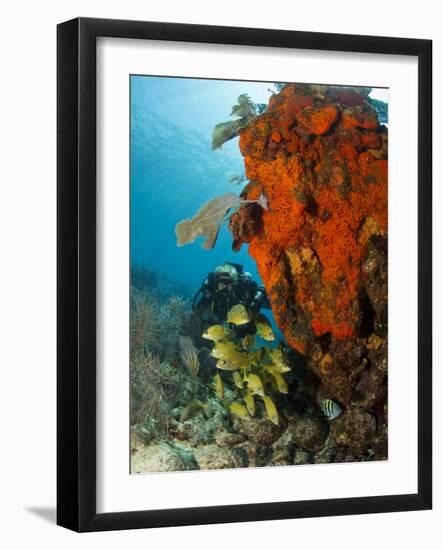 Technical Diver on Coral Reef.-Stephen Frink-Framed Photographic Print