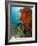 Technical Diver on Coral Reef.-Stephen Frink-Framed Photographic Print