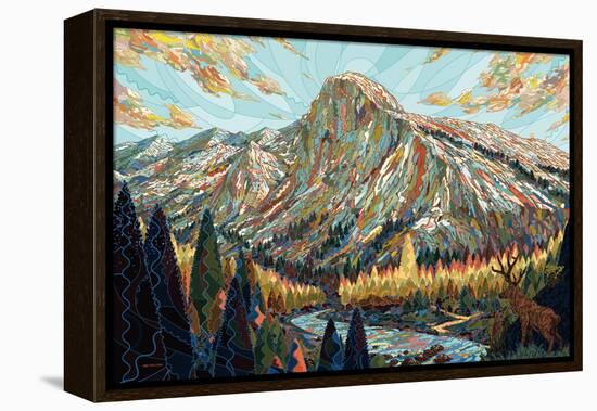 Technicolor-HR-FM-Framed Stretched Canvas