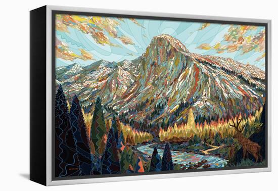 Technicolor-HR-FM-Framed Stretched Canvas