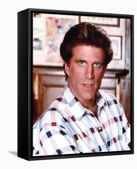 Ted Danson, Cheers (1982)-null-Framed Stretched Canvas