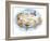 Ted, Ed, and Caroll and the Tiny Fish 5 - Turtle-Valeri Gorbachev-Framed Giclee Print