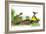 Ted, Ed, and Caroll are Great Friends - Turtle-Valeri Gorbachev-Framed Giclee Print