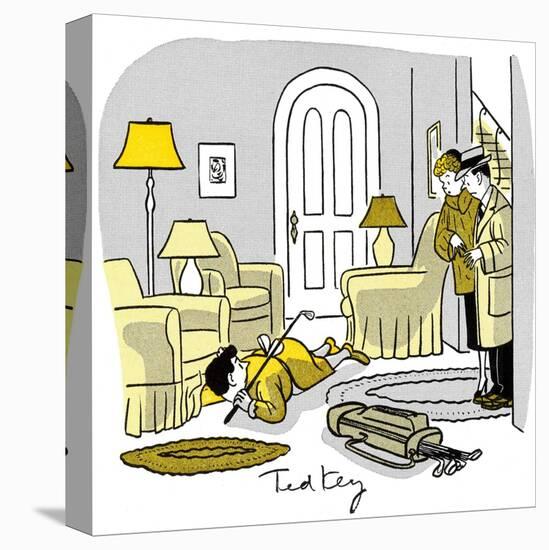 Stretched Canvas Print, , large