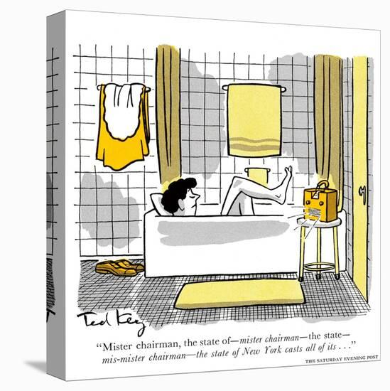 Stretched Canvas Print, , large