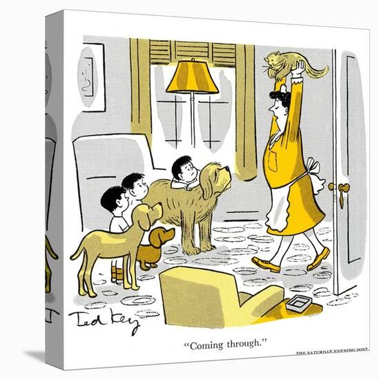 Stretched Canvas Print, , large