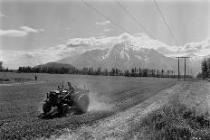 Farmer on a Tractor Spraying Insecticide on a Field before Planting in Palmer, Alaska, 1961 (Photo)-Ted Spiegel-Giclee Print