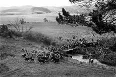 Farmer on a Tractor Spraying Insecticide on a Field before Planting in Palmer, Alaska, 1961 (Photo)-Ted Spiegel-Framed Giclee Print