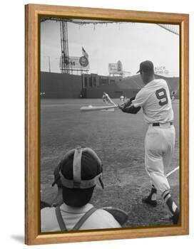 Ted Williams Batting at Fenway Park-Ralph Morse-Framed Premier Image Canvas