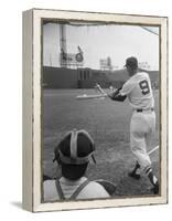 Ted Williams Batting at Fenway Park-Ralph Morse-Framed Premier Image Canvas