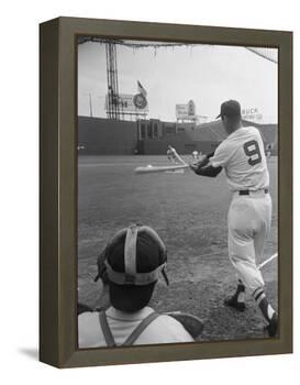 Ted Williams Batting at Fenway Park-Ralph Morse-Framed Premier Image Canvas